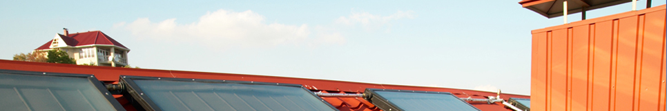 Banner - Friedhelm Roggatz